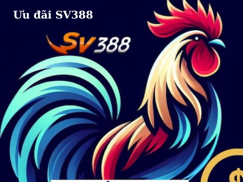 Hàng loạt ưu đãi SV388 hấp dẫn đón chờ thành viên khám phá